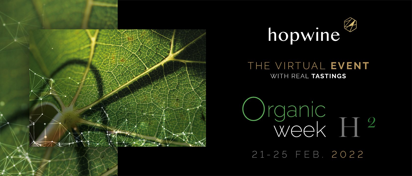 Hopwine 2022 H2 - Organic Week