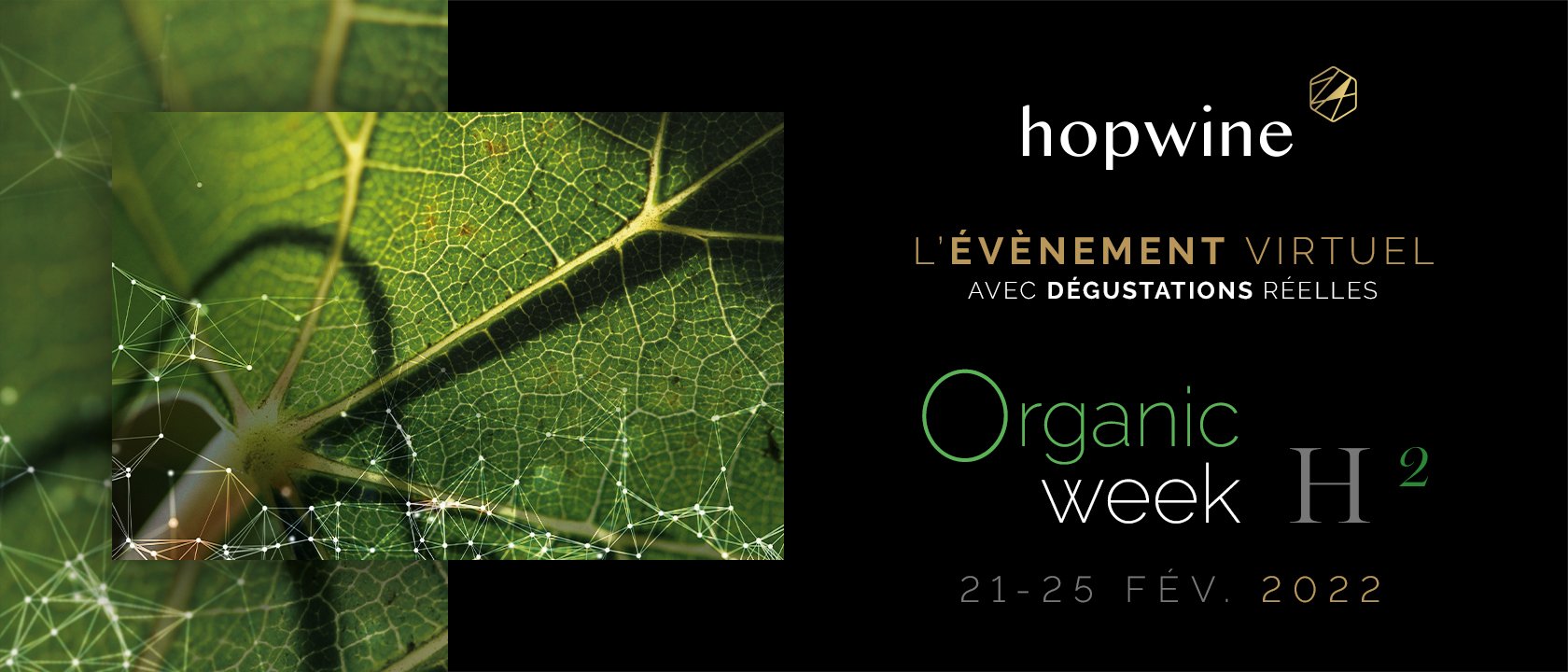 Hopwine 2022 H2 - Organic Week