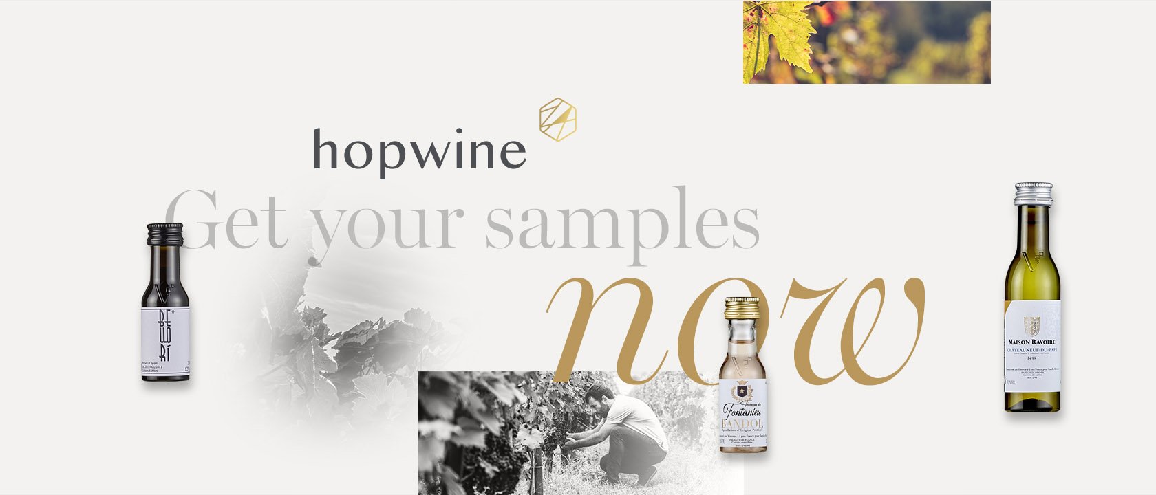 Hopwine Get your samples now