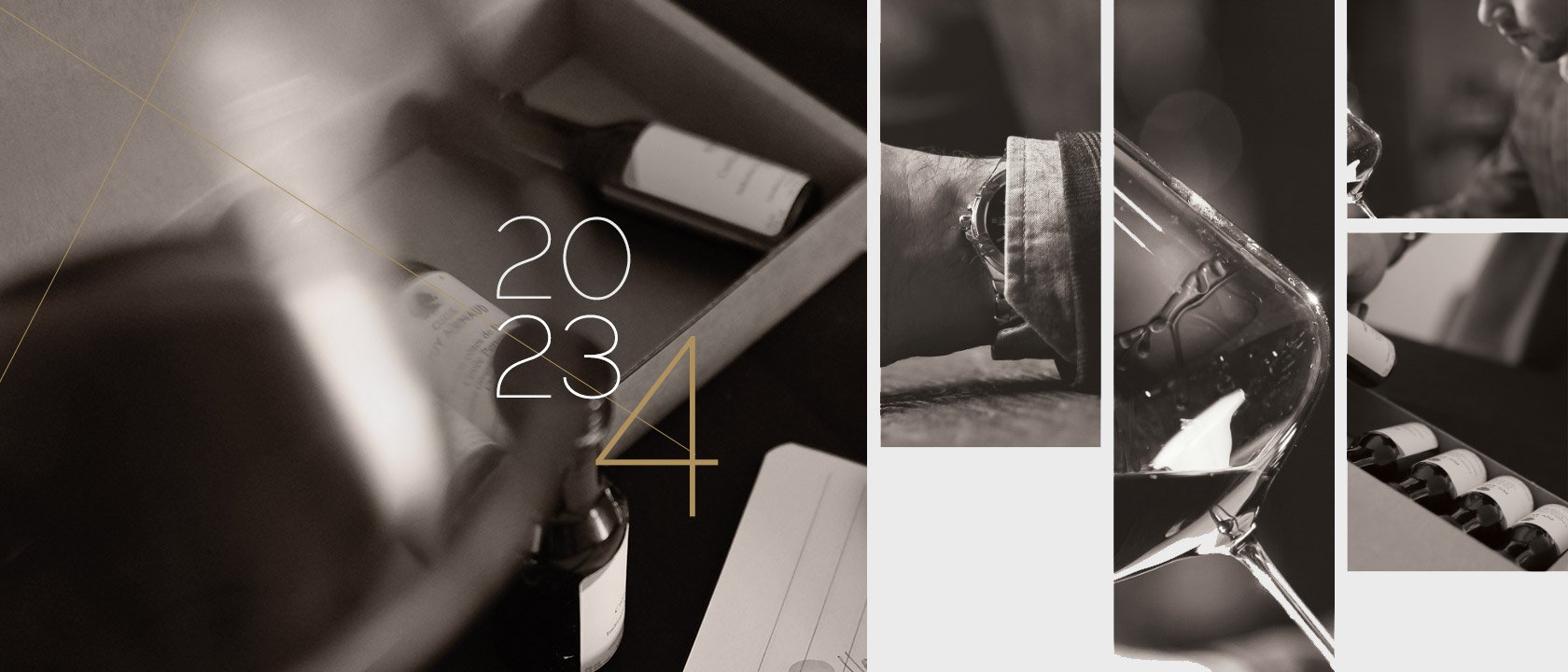 Hopwine H1  2024